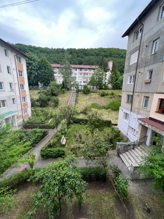 Appartement The Retreat à Sinaia Extérieur photo